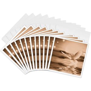3dRose Peace Dove Greeting Cards, 6 by 6-inches, Set of 12 (gc_23317_2) 3dRose Peace Dove Greeting Cards, 6 by 6-inches, Set of 12 (gc_23317_2)