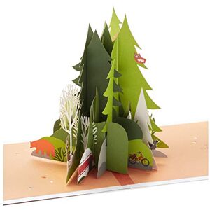 Hallmark Pop Up Birthday Card for Him (Adventure Awaits) Signature Paper Wonder 3D Card Hallmark Pop Up Birthday Card for Him (Adventure Awaits) Signature Paper Wonder 3D Card