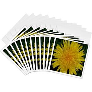 3dRose Dandelion Flower Greeting Cards, 6 by 6-inches, Set of 12 (gc_18414_2) 3dRose Dandelion Flower Greeting Cards, 6 by 6-inches, Set of 12 (gc_18414_2)