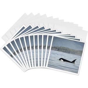 3dRose gc_135022_2 6 x 6-Inch "British Columbia/Vancouver Island/Clayoquot/Orcas Whales Cn02 Mfr0016 Mfr" Greeting Card 3dRose gc_135022_2 6 x 6-Inch "British Columbia/Vancouver Island/Clayoquot/Orcas Whales Cn02 Mfr0016 Mfr" Greeting Card