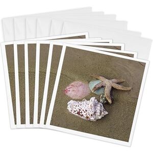 3dRose Star Fish N Sea Shells Greeting Cards, 6 by 6-inches, Set of 6 (gc_7999_1) 3dRose Star Fish N Sea Shells Greeting Cards, 6 by 6-inches, Set of 6 (gc_7999_1)
