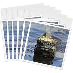3dRose Marine Iguana,Amblyrhynchus Cristatus,at Punta Espinosa Fernandina Island Galapagos Greeting Cards, 6 by 6-inches, Set of 6 (gc_10128_1) 3dRose Marine Iguana,Amblyrhynchus Cristatus,at Punta Espinosa Fernandina Island Galapagos Greeting Cards, 6 by 6-inches, Set of 6 (gc_10128_1)