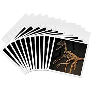 3dRose Podiceps Sociata from The Miocen Greeting Cards, 6 by 6-inches, Set of 12 (gc_16722_2) 3dRose Podiceps Sociata from The Miocen Greeting Cards, 6 by 6-inches, Set of 12 (gc_16722_2)
