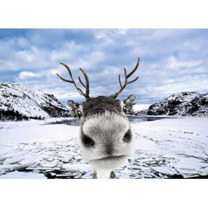 Psaris Productions Reindeer Funny Christmas Cards Boxed With Envelopes Set of 12 Holiday Cards and 12 Envelopes. Made in USA. Psaris Productions Reindeer Funny Christmas Cards Boxed With Envelopes Set of 12 Holiday Cards and 12 Envelopes. Made in USA.