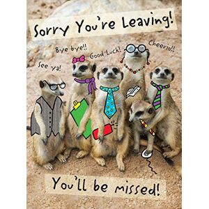Piccadilly Greetings Modern Large Card Leaving 12 x 9 inches Piccadilly Greetings Modern Large Card Leaving 12 x 9 inches