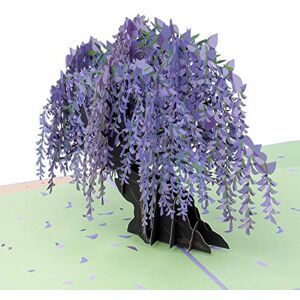 Paper Love Wisteria Pop Up Card, 3D Popup Greeting Cards, for Birthday, Valentine's Day, Mothers Day, Spring, Fathers Day, Graduation, Wedding, Anniversary, Thank You, Get Well, All Occasion 5" x 7 Paper Love Wisteria Pop Up Card, 3D Popup Greeting Cards, for Birthday, Valentine's Day, Mothers Day, Spring, Fathers Day, Graduation, Wedding, Anniversary, Thank You, Get Well, All Occasion 5" x 7