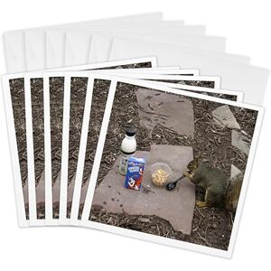 3dRose Breakfast in Fort Collins Co Greeting Cards, 6 by 6-inches, Set of 6 (gc_13677_1) 3dRose Breakfast in Fort Collins Co Greeting Cards, 6 by 6-inches, Set of 6 (gc_13677_1)