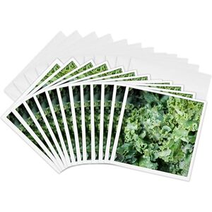 3dRose gc_251394_2 6 x 6-Inch "Kale for Sale at a Farmers Market, Charleston, South Carolina USA" Greeting Card (Set of 12) 3dRose gc_251394_2 6 x 6-Inch "Kale for Sale at a Farmers Market, Charleston, South Carolina USA" Greeting Card (Set of 12)