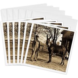 3dRose 1900 Man and a Mule in Milwaukee Sepia Greeting Cards, 6 by 6-inches, Set of 6 (gc_16065_1) 3dRose 1900 Man and a Mule in Milwaukee Sepia Greeting Cards, 6 by 6-inches, Set of 6 (gc_16065_1)