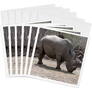 3dRose Rhino Greeting Cards, 6 by 6-inches, Set of 6 (gc_12191_1) 3dRose Rhino Greeting Cards, 6 by 6-inches, Set of 6 (gc_12191_1)