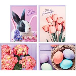 Hallmark Easter Blank Note Card Assortment (24 Cards with Envelopes, 4 Designs) Pink Tulips, Pastel Eggs, Easter Bunny Hallmark Easter Blank Note Card Assortment (24 Cards with Envelopes, 4 Designs) Pink Tulips, Pastel Eggs, Easter Bunny