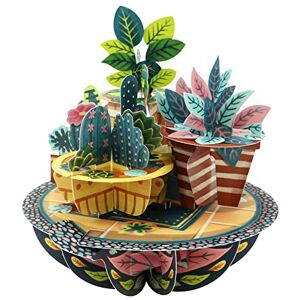 SANTORO Pirouette, 3D Pop Up Greeting Card Potted Plants For Him, Her, Mum, Birthday, New Home, New Job, Thank You Housewarming Gift For Men, Women SANTORO Pirouette, 3D Pop Up Greeting Card Potted Plants For Him, Her, Mum, Birthday, New Home, New Job, Thank You Housewarming Gift For Men, Women