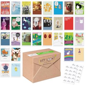 American Greetings Recycled Paper Greeting 30-Count Funny All Occasion Card Assortment with Envelopes, Seals, and Storage Box American Greetings Recycled Paper Greeting 30-Count Funny All Occasion Card Assortment with Envelopes, Seals, and Storage Box