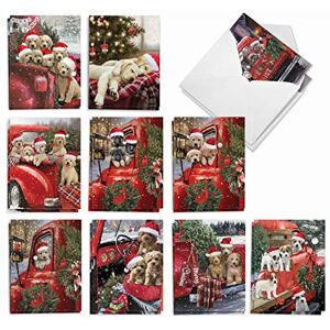 The Best Card Company NobleWorks Variety Pack of 20 Christmas Greeting Cards with Envelopes, Humor Holiday Assortment for Men and Women (10 Designs, 2 Each) Red Truck Puppies AM3375XSG-B2x10 The Best Card Company NobleWorks Variety Pack of 20 Christmas Greeting Cards with Envelopes, Humor Holiday Assortment for Men and Women (10 Designs, 2 Each) Red Truck Puppies AM3375XSG-B2x10