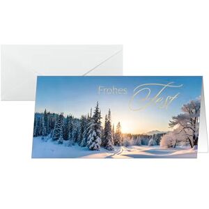 Sigel DS638 Christmas Cards Winter Landscape Blue/White/Gold DL 25 Cards incl. envelopes Sigel DS638 Christmas Cards Winter Landscape Blue/White/Gold DL 25 Cards incl. envelopes