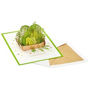 Hallmark Signature Paper Wonder Pop Up Friendship, Thank You, or Birthday Card Succulents Hallmark Signature Paper Wonder Pop Up Friendship, Thank You, or Birthday Card Succulents