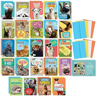 T MARIE 24 Funny Greeting Cards Set with Envelopes,24 Unique Designs with No Repeats,Cute 4.5”x6.25” Blank Boxed Animal Note Cards Pack to Say Thinking of You, Hello, Kids, Teacher and More T MARIE 24 Funny Greeting Cards Set with Envelopes,24 Unique Designs with No Repeats,Cute 4.5”x6.25” Blank Boxed Animal Note Cards Pack to Say Thinking of You, Hello, Kids, Teacher and More