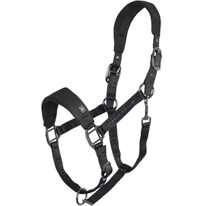 Imperial Riding Headcollar IRH-Cloud Dancer, Breathable Mesh Halter Made of Polyester, Lightweight & Comfortable, Adjustable with Buckle & Carabiner, Matches Cloud Dancer Collection, Black, Pony Imperial Riding Headcollar IRH-Cloud Dancer, Breathable Mesh Halter Made of Polyester, Lightweight & Comfortable, Adjustable with Buckle & Carabiner, Matches Cloud Dancer Collection, Black, Pony