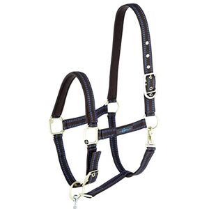 Kerbl Horse Halter for Goleygo System, Brown/Light Blue, Cob Kerbl Horse Halter for Goleygo System, Brown/Light Blue, Cob
