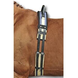 HKM SPORTS EQUIPMENT 17956925.1347 1795 Lunging Belt with Grab Handle, Canvas Pony Shetty VB/WB HKM SPORTS EQUIPMENT 17956925.1347 1795 Lunging Belt with Grab Handle, Canvas Pony Shetty VB/WB