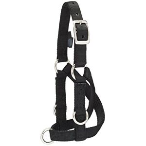 Weaver Leather Livestock Sheep & Goat Training Halter, Large, Black Weaver Leather Livestock Sheep & Goat Training Halter, Large, Black