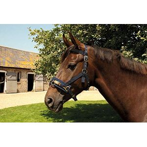 Rhinegold Nylon Lunge Cavesson, Navy, Cob Rhinegold Nylon Lunge Cavesson, Navy, Cob