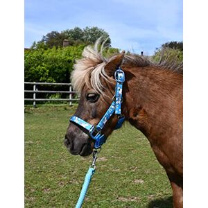 Rhinegold Unicorn Headcollar and Rope Set Pony Turquoise Rhinegold Unicorn Headcollar and Rope Set Pony Turquoise