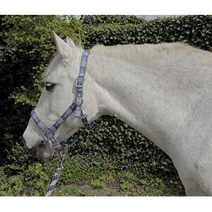 Rhinegold Unisex's Carnival Headcollar & Rope, Blue Check, Cob Rhinegold Unisex's Carnival Headcollar & Rope, Blue Check, Cob