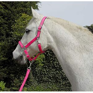 Rhinegold Unisex's Carnival Headcollar & Rope, Bright Pink, Pony Rhinegold Unisex's Carnival Headcollar & Rope, Bright Pink, Pony