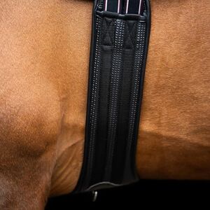 Imperial Riding IRHBasic Jumping Strap Anatomical Stud Belt with Breathable Padding and Belly Bib, Black, 125 cm Imperial Riding IRHBasic Jumping Strap Anatomical Stud Belt with Breathable Padding and Belly Bib, Black, 125 cm