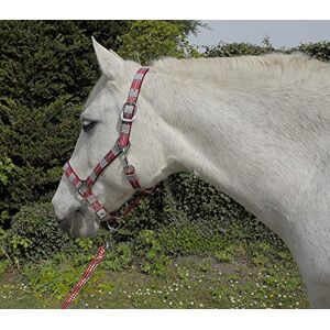 Rhinegold Unisex's Carnival Headcollar & Rope, Red Check, Cob Rhinegold Unisex's Carnival Headcollar & Rope, Red Check, Cob