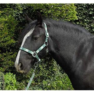 Rhinegold Unisex's Carnival Headcollar & Rope, Green Check, Cob Rhinegold Unisex's Carnival Headcollar & Rope, Green Check, Cob