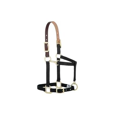 Weaver Leather Ohlávka pro koně - nylon, nastavitelný, černý - Horse Halter Weaver Leather Ohlávka pro koně - nylon, nastavitelný, černý - Horse Halter