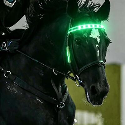 VEROHY LED Horse Tack 3 Lighting Modes Waterproof Reflective Equestrian Night Riding Safety Light Adjustable Illuminated Headband for Horse & Pony, Stable, Indoor Arena, Festival (Green) VEROHY LED Horse Tack 3 Lighting Modes Waterproof Reflective Equestrian Night Riding Safety Light Adjustable Illuminated Headband for Horse & Pony, Stable, Indoor Arena, Festival (Green)