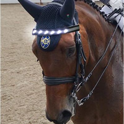 QQY Horse Headband LED Horse Breastplate Collar LED Strip Visibility Tack Horse Head Strap Bandage Strap for Night Horse Riding Equestrian Competition Event (Color) QQY Horse Headband LED Horse Breastplate Collar LED Strip Visibility Tack Horse Head Strap Bandage Strap for Night Horse Riding Equestrian Competition Event (Color)