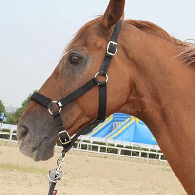 Namvo Horse Halter Bridle With Rein, Adjustable Horse Bridle Headstalls High Density 5mm Thickened Webbing with Soft Thick Cushion Control Halter Riding Accessories Namvo Horse Halter Bridle With Rein, Adjustable Horse Bridle Headstalls High Density 5mm Thickened Webbing with Soft Thick Cushion Control Halter Riding Accessories