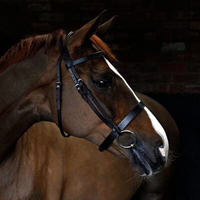 Harry Hall . Cottage Craft Cavesson Bridle Anatomical Horse Bridles Cavesson Noseband For Pony Cob Full Extra Full Leather Tack Harry Hall . Cottage Craft Cavesson Bridle Anatomical Horse Bridles Cavesson Noseband For Pony Cob Full Extra Full Leather Tack
