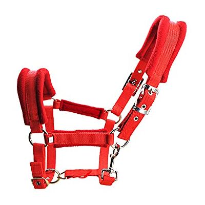 Namvo Horse Halter Bridle With Rein, Adjustable Horse Bridle Headstalls High Density Thickened Webbing with Soft Thick Cushion Control Halter Riding Accessories Namvo Horse Halter Bridle With Rein, Adjustable Horse Bridle Headstalls High Density Thickened Webbing with Soft Thick Cushion Control Halter Riding Accessories