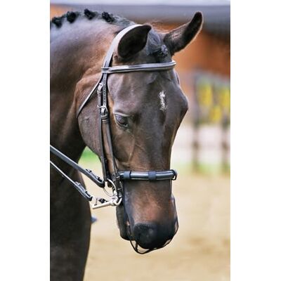 equilibrium Net Relief Muzzle Net (Black, XL (Large Horse)) equilibrium Net Relief Muzzle Net (Black, XL (Large Horse))