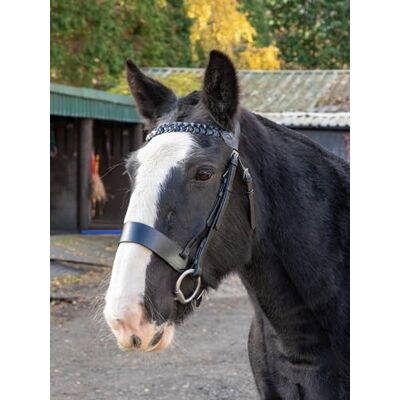 Aces Equine Leather Horse Hunter Bridle with 2 inch Noseband and 1 inch Plated Browband Premium Quality Black Colour (SHETLAND) Aces Equine Leather Horse Hunter Bridle with 2 inch Noseband and 1 inch Plated Browband Premium Quality Black Colour (SHETLAND)