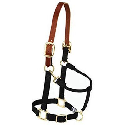 Weaver Leather 35-7034-BK halter - Nylon, Black, 2.5cm - halter Weaver Leather 35-7034-BK halter - Nylon, Black, 2.5cm - halter