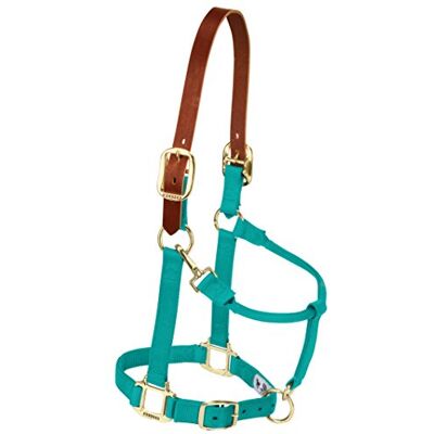 Weaver Leather Emerald Green Large Horse Halter Weaver Leather Emerald Green Large Horse Halter