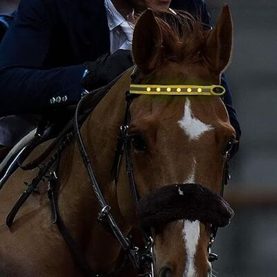 VEROHY LED Horse Tack 3 Lighting Modes Waterproof Reflective Equestrian Night Riding Safety Light Adjustable Illuminated Headband for Horse & Pony, Stable, Indoor Arena, Festival (Yellow) VEROHY LED Horse Tack 3 Lighting Modes Waterproof Reflective Equestrian Night Riding Safety Light Adjustable Illuminated Headband for Horse & Pony, Stable, Indoor Arena, Festival (Yellow)