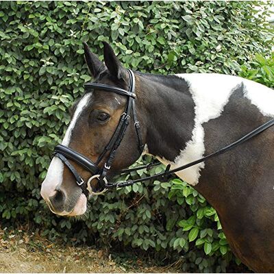 Windsor Equestrian Windsor Leather Comfort Horse Pony Snaffle Bridle, Flash Noseband Cob, Black Windsor Equestrian Windsor Leather Comfort Horse Pony Snaffle Bridle, Flash Noseband Cob, Black