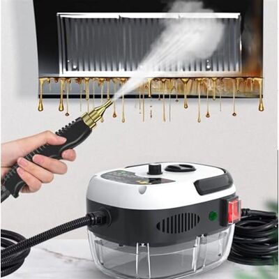 HONGQICAI Steam Cleaners, Portable Steam Cleaning Machine, 2500W High Temperature Pressurized Steam Cleaner, Portable Steam Cleaning Machine with 3 Brush Heads for Household & 10S Fast Heating (Color : White, HONGQICAI Steam Cleaners, Portable Steam Cleaning Machine, 2500W High Temperature Pressurized Steam Cleaner, Portable Steam Cleaning Machine with 3 Brush Heads for Household & 10S Fast Heating (Color : White,