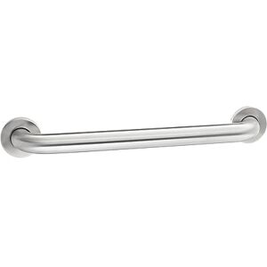 Amazon Basics Sturdy Bathroom Safety Grab Bar, 0.46 m Length, 0.03 m Diameter, Stainless Steel Amazon Basics Sturdy Bathroom Safety Grab Bar, 0.46 m Length, 0.03 m Diameter, Stainless Steel
