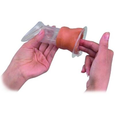 3B Scientific Human Anatomy Female Condom Model, Light Skin 3B Scientific Human Anatomy Female Condom Model, Light Skin