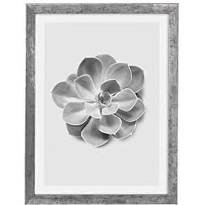 Komar Wooden Picture Frame Stone Silver with Art Poster Succulent Aeonium as a Set Size: 30 x 40 cm Wall Picture, Decoration, Flower, Black/White Komar Wooden Picture Frame Stone Silver with Art Poster Succulent Aeonium as a Set Size: 30 x 40 cm Wall Picture, Decoration, Flower, Black/White