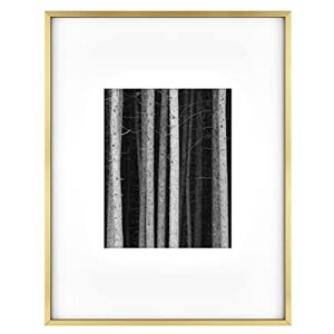 MCS Gallery Wall Frame, Brass, 14 x 18 in matted to 8 x 10 in MCS Gallery Wall Frame, Brass, 14 x 18 in matted to 8 x 10 in