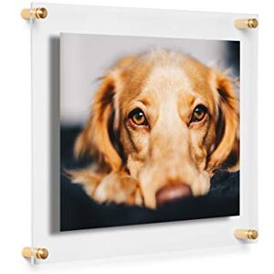 Cool Modern Frames 8x10 Clear Double Panel Floating Acrylic Picture Frame Display with Gold Hardware for Displaying Art and Photos on Wall Cool Modern Frames 8x10 Clear Double Panel Floating Acrylic Picture Frame Display with Gold Hardware for Displaying Art and Photos on Wall